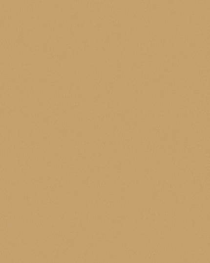 F527-ST20 Golden Brushed Metal
