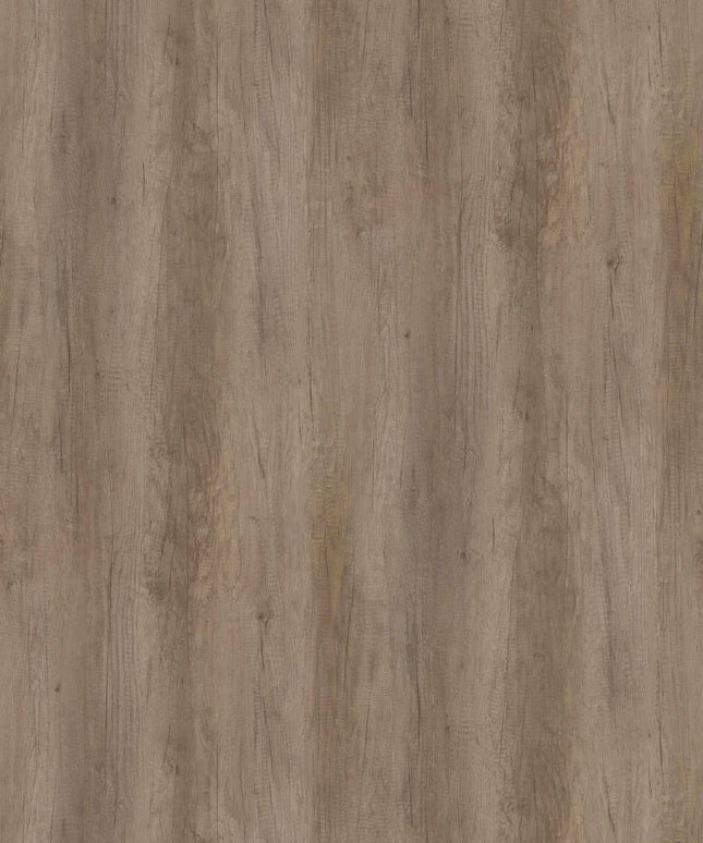 H3332-ST10 Grey Nebraska Oak
