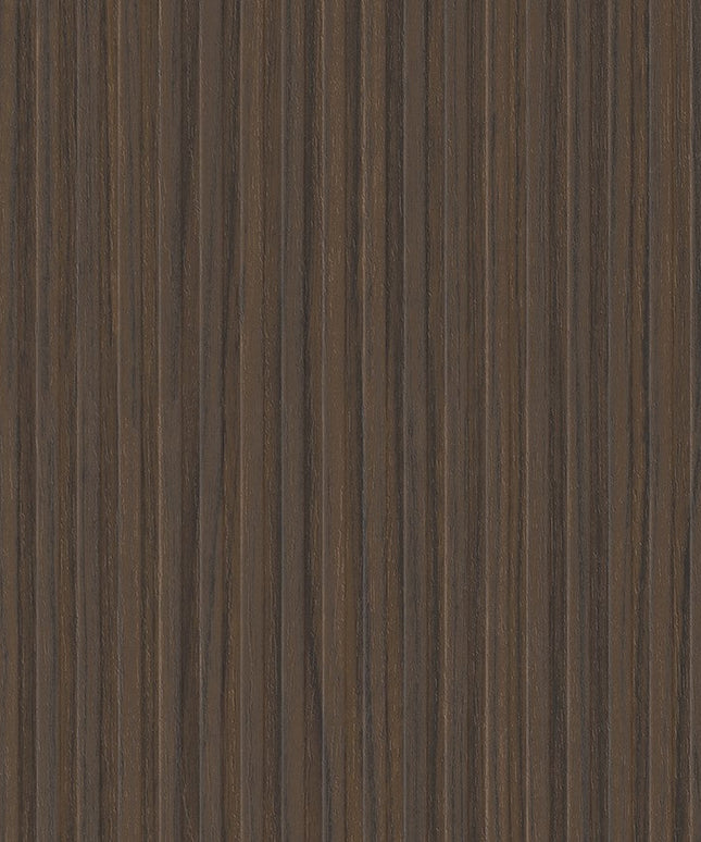 LS53-RIGA