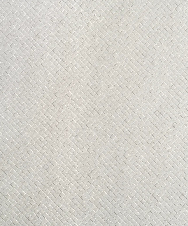 FB45-MOSAICO