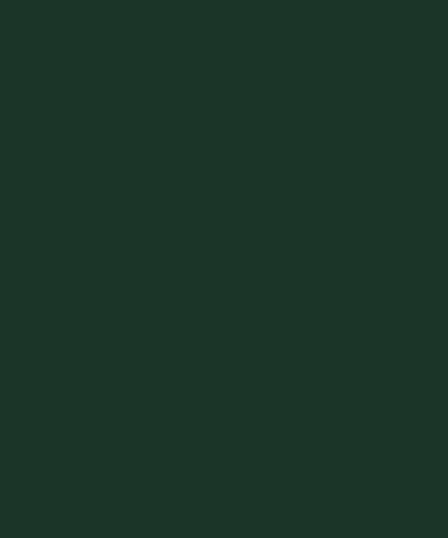 U699-ST40 Fir Green